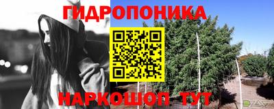 mdpv Заводоуковск
