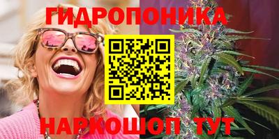 mdpv Заводоуковск