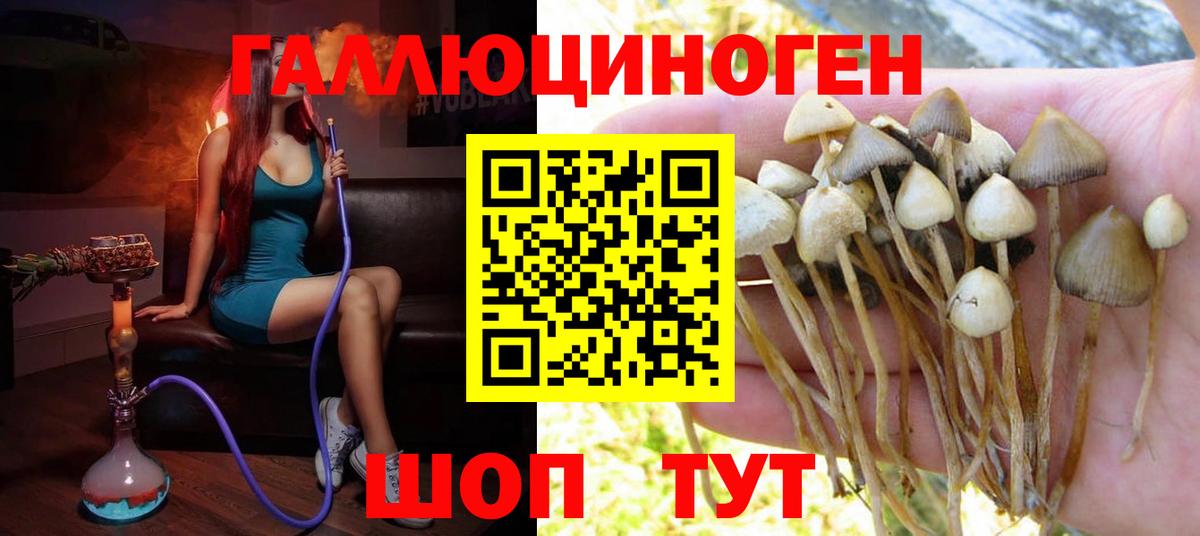 Псилоцибиновые грибы Magic Shrooms  Вход с VPN  Орск 